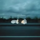 MNL 마닐라 30시간 레이오버