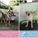 인 이미지