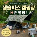 짱노래존 | 강원도 홍천 생슐피스 캠핑장 프라이빗 대형 데크 H존 명당! 여름 캠핑 후기