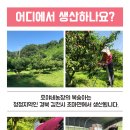 호야네농장 이미지