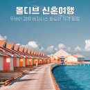 시티두바이PC | 두바이 몰디브 신혼여행 에미레이트항공 비즈니스 항공권 가격 변동