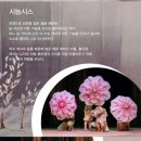 어린이날 특별공연-인형극 [손 없는 색시] 이미지