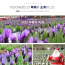 산속의정원 이미지