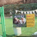 본가곱돌숯불닭갈비