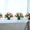 어렌지몬트-반구형 이미지