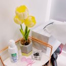 닥터수(Dr.SOO)평택고덕점 이미지