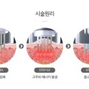 미켈란에이치의원 이미지