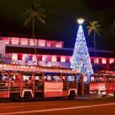 인정프린스(아) 이미지