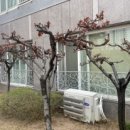 우미2차아파트경로당 이미지