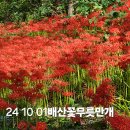 배산성지 이미지