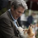 하치이야기 이미지