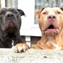 주인공원 이미지