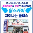 스카이윙 이미지