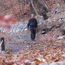 곰배령설피마을 이미지