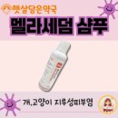 햇살약국 이미지