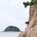 서해기획축제플러스 트래블바이크