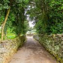 성읍민속마을 이미지