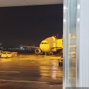 설레임무인텔 | 제주도는 드라이브하고 먹으러 가는게 끝 (첫째날-김마리김밥, 부원뚝배기, 고기왕, 이그니스무인텔)
