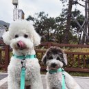 양산 우리센터