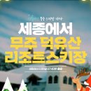미르여행사 - 동구 매봉로 18 | 미르여행사