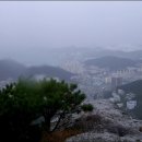 개금파출소 Daum카페