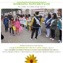 대구 와룡초, '학교폭력 멈춰!'의 날 이미지