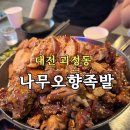 3311 | 대전 괴정동 맛집 나무오향족발 롯데백화점 근처 족발 맛집 솔직 후기