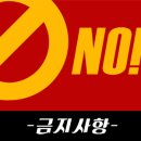 피쉬스쿨 이미지