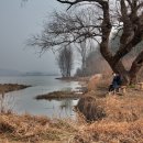 우포의 숲속 이미지