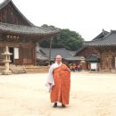 두그루나무 이미지