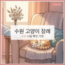 광주050 | 수원 고양이 장례, 어디서 어떻게 해야할까? 비용, 후기 모두 정리했습니다.