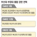 부산대-부경대 통합관련 내용 이미지