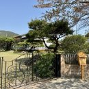 사라의 정원 이미지