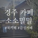 책고양이 | 경주 북카페 소소밀밀 후기 : 책, 커피, 고양이까지 완벽했던 시간
