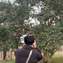 나주자원 이미지