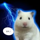 덕은점 현대자동차 | 우연히 갑자기 행복해지세요 🍀