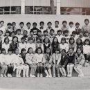 대구북비산초등학교 이미지