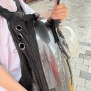 퍼피즌동물병원 이미지