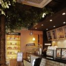 벨라빈스커피 이미지