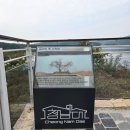 탄금호 순환자전거길12 | 남쪽의 따뜻한 청와대 청남대 방문 후기/청남대 가을 축제 이야기/[장가_지음] 725번째 글