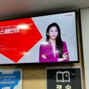 입문 스페인어 회화 이미지