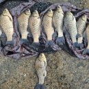 대물낚시터 이미지