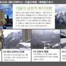 오케이투어