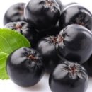 야동농장 이미지