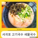 제주 서귀포 새물국수 제주식 고기국수 _테디베어뮤지엄 근처 애견 반려견 동반 후기