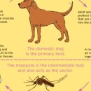 하나동물약국 이미지