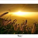 빛이 있으라 이미지