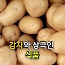 감자와 상극인 음식 이미지