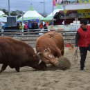 성당농업협동조합 이미지