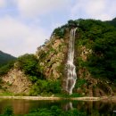 화천 황쏘가리 서식지 이미지